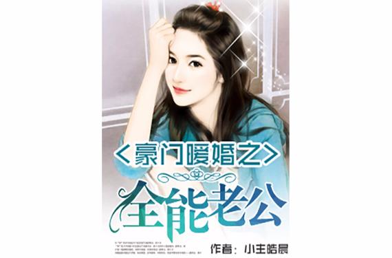 豪门暖婚之全能老公，豪门暖婚之全能老公免费阅读全文